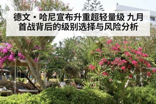 德文·哈尼宣布升重超轻量级 九月首战背后的级别选择与风险分析